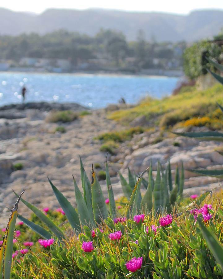 Sun & Sea, Holidays Holiday home *
